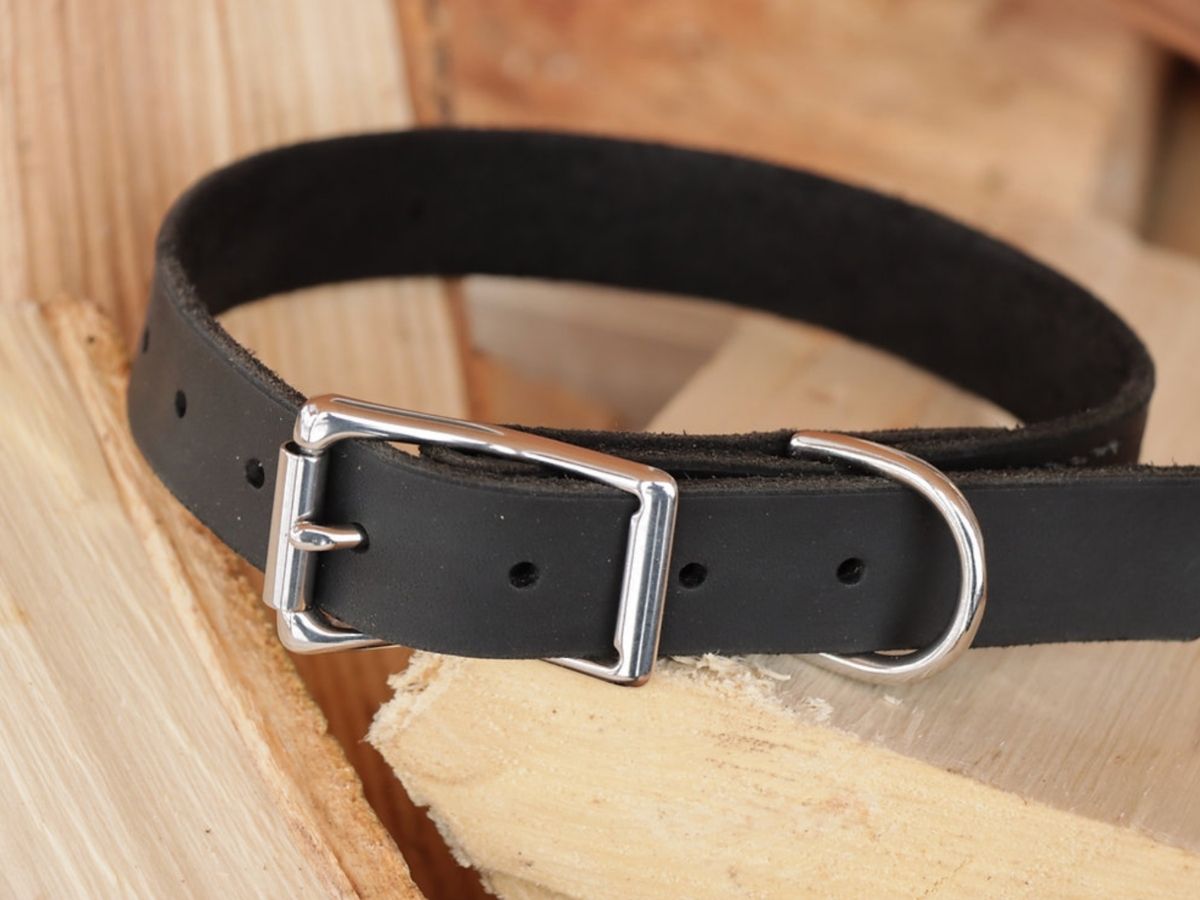 Solid Full Grain Leather Dog Collar