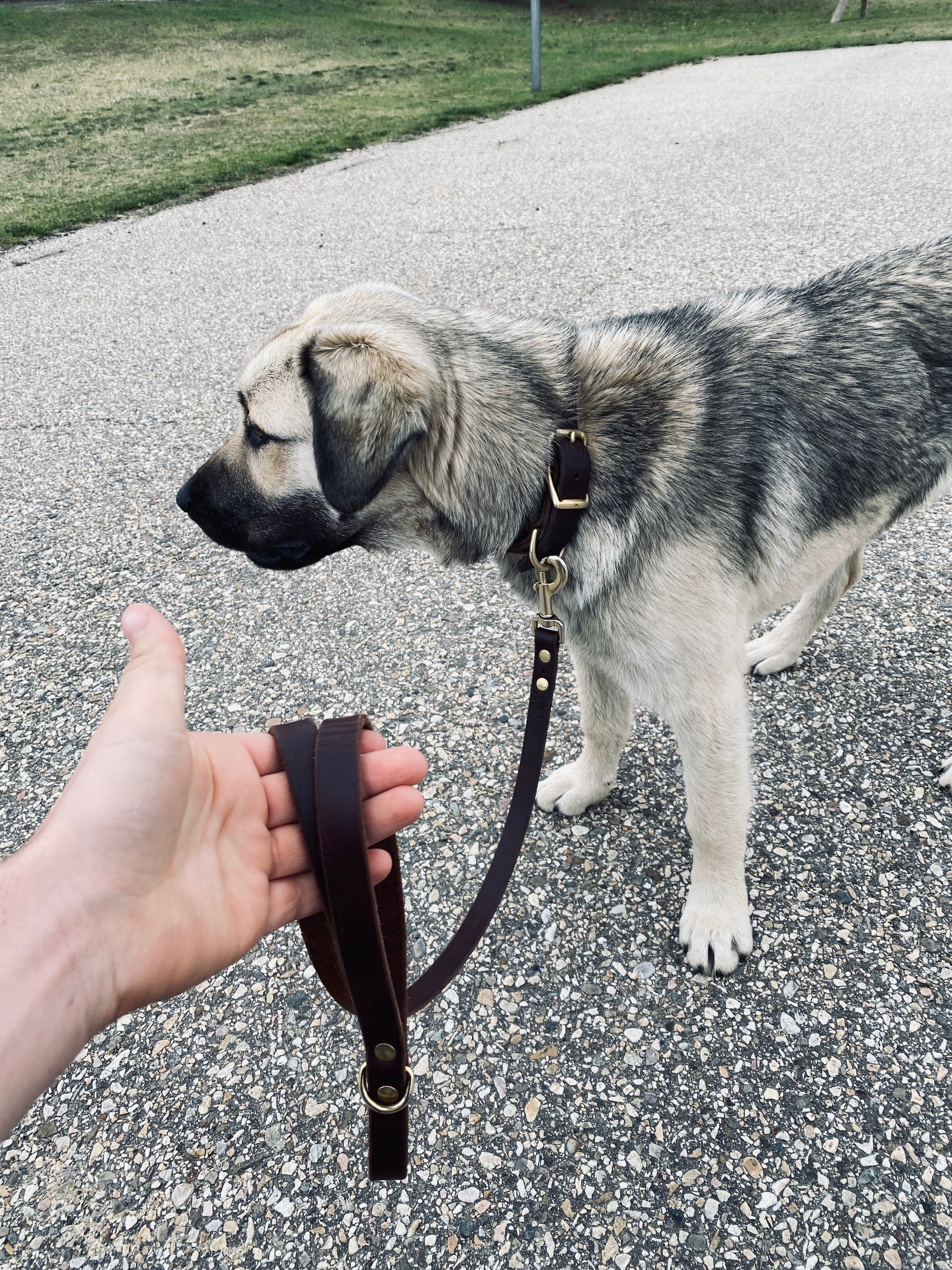 Full Grain Leather Dog Leash