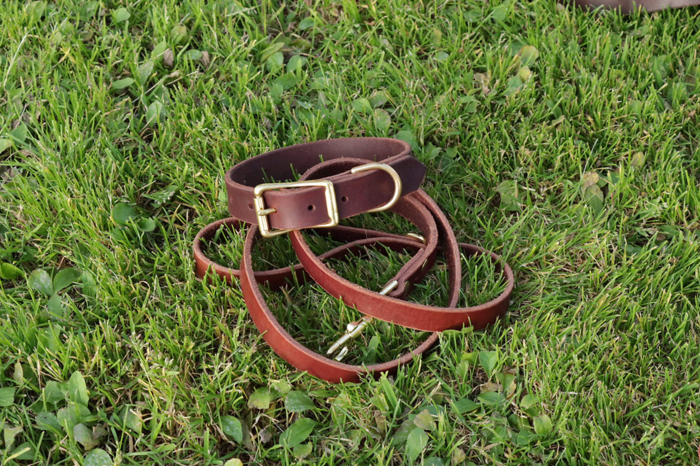 Solid Full Grain Leather Dog Collar